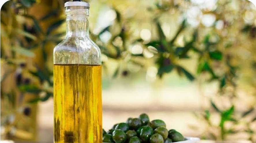L'Europe intensifie sa production d'olive : menace néocoloniale ?