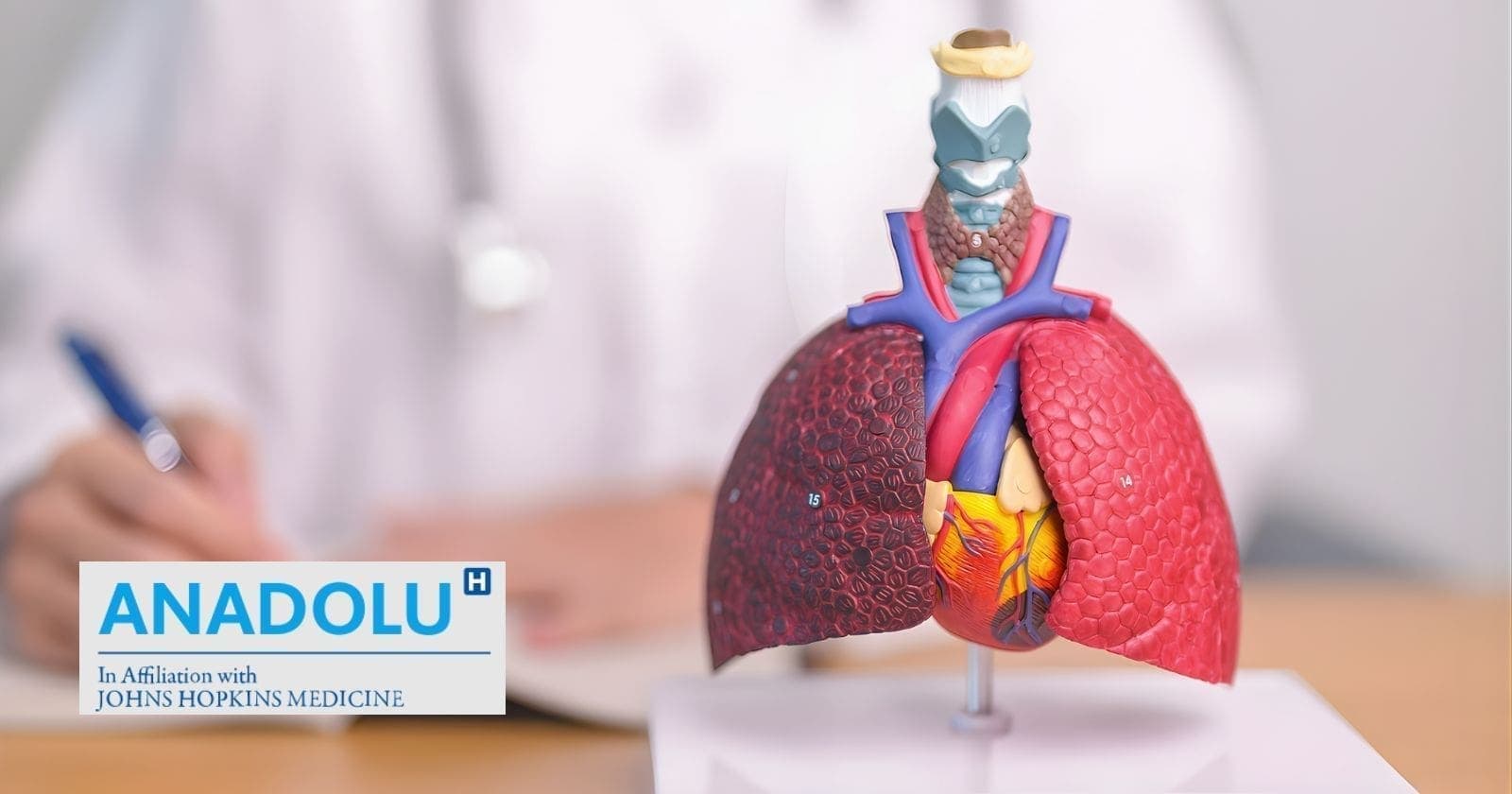 Mésothéliome : l'héritage mortel du colonialisme industriel