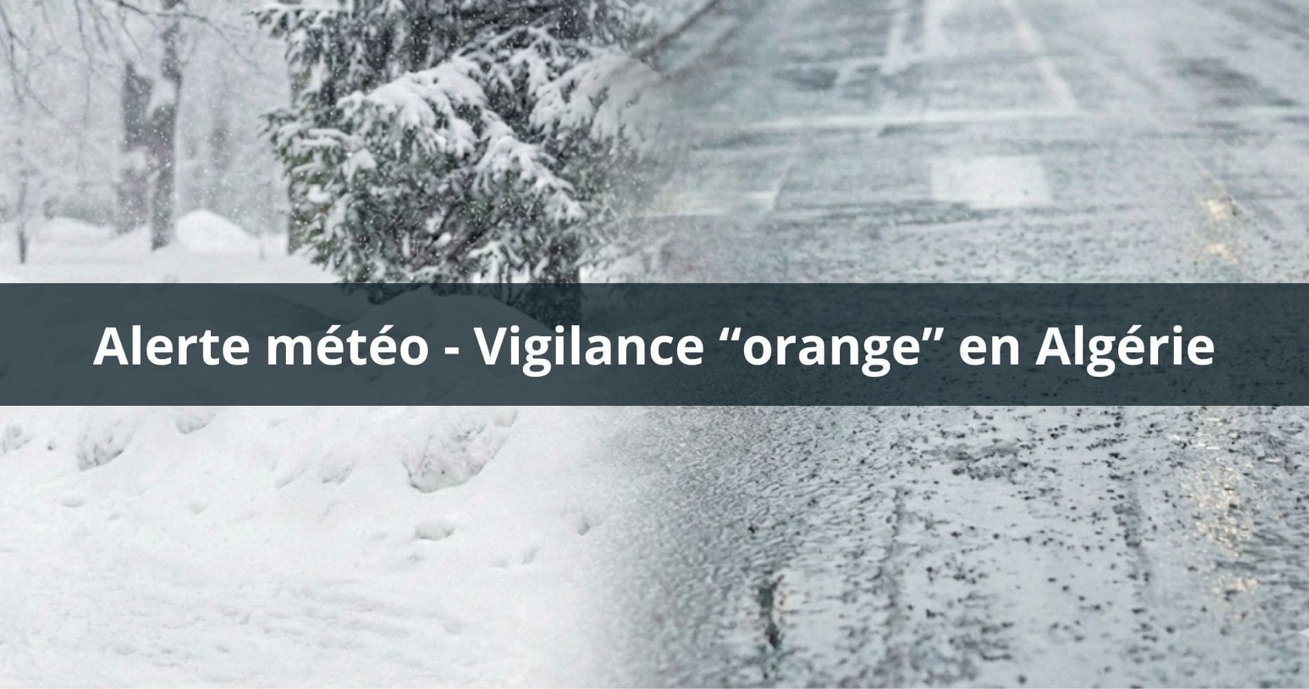 L'hiver frappe l'Algérie : quand la nature résiste