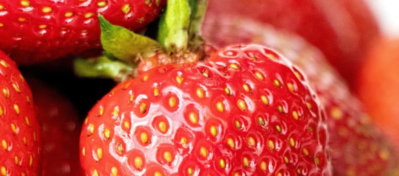 Jardinage populaire : cultiver sa souveraineté alimentaire